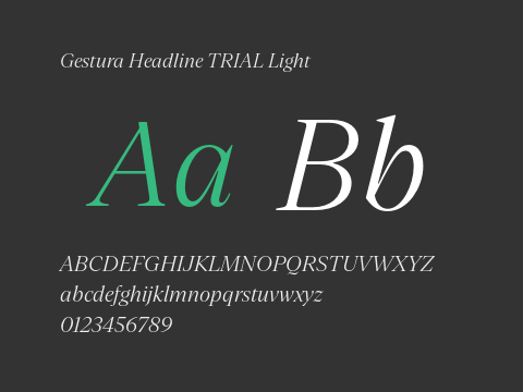 Gestura Headline TRIAL Light