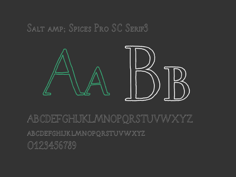 Salt amp; Spices Pro SC Serif3