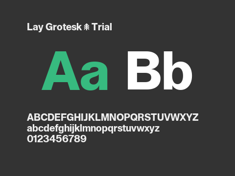 Lay Grotesk - Trial