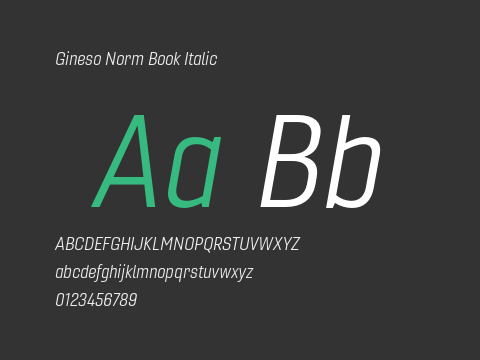 Gineso Norm Book Italic