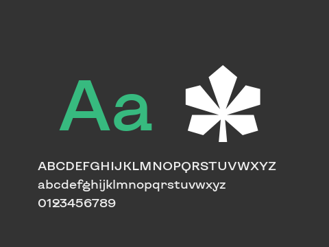 KyivType Sans Medium