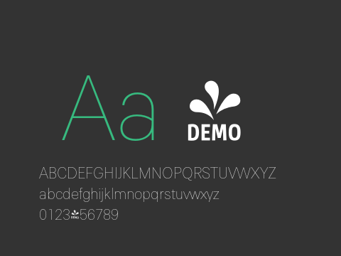 FSP DEMO - Paul Grotesk Thin