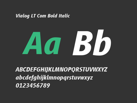 Vialog LT Com Bold Italic