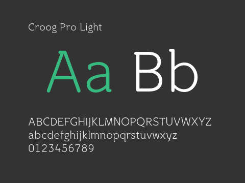 Croog Pro Light