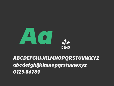 FSP DEMO - Biotic Black Italic