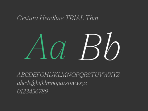 Gestura Headline TRIAL Thin