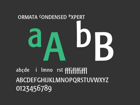 Formata Condensed Expert