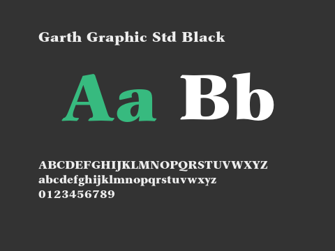 Garth Graphic Std Black