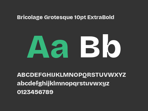 Bricolage Grotesque 10pt ExtraBold