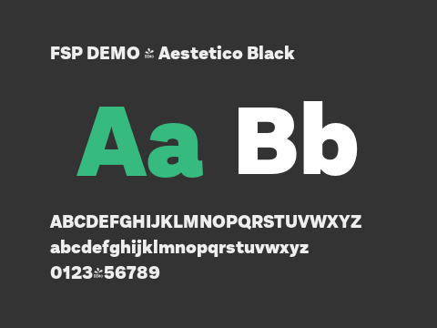 FSP DEMO - Aestetico Black