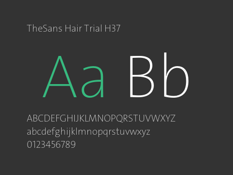 TheSans Hair Trial H37