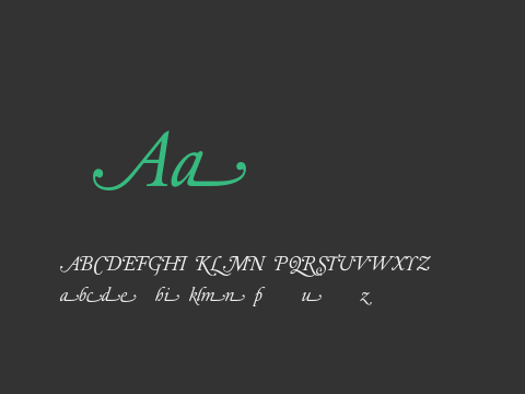 DTLElzevirT Swash Italic