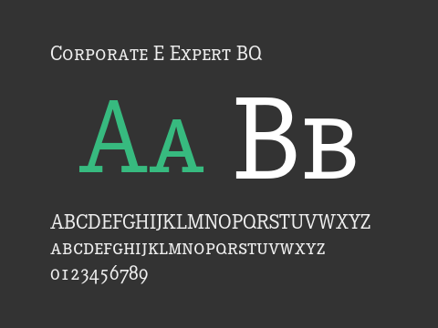 Corporate E Expert BQ