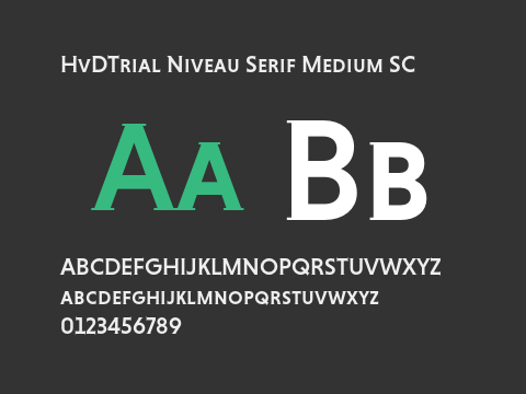 HvDTrial Niveau Serif Medium SC