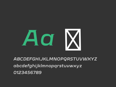 Meguro Serif Medium