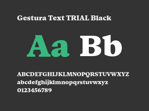 Gestura Text TRIAL Black