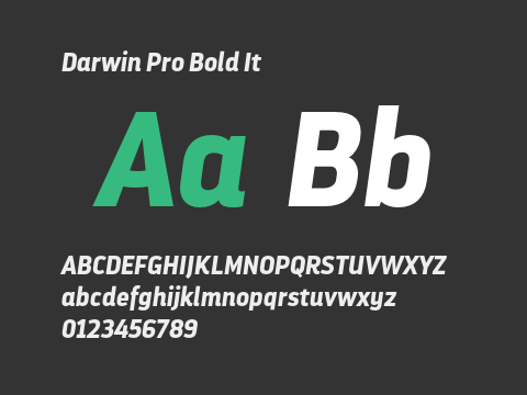 Darwin Pro Bold It