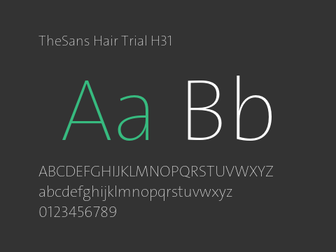 TheSans Hair Trial H31