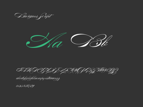 Burgues Script