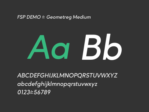 FSP DEMO - Geometreg Medium