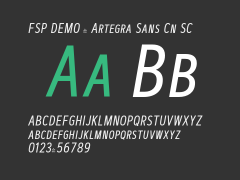 FSP DEMO - Artegra Sans Cn SC