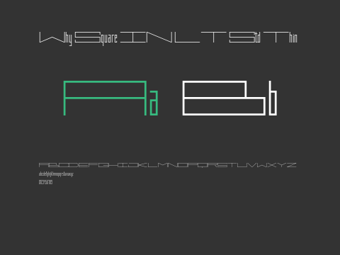 Why Square IN LT Std Thin