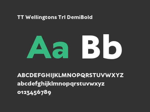 TT Wellingtons Trl DemiBold