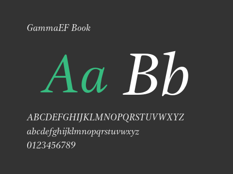 GammaEF Book