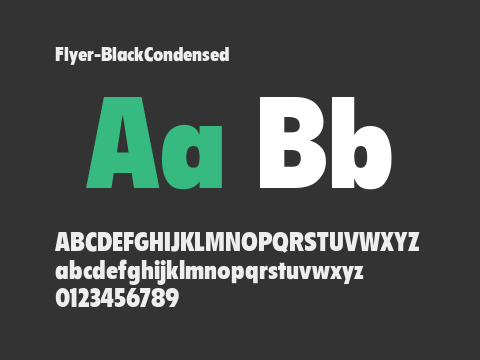 Flyer-BlackCondensed