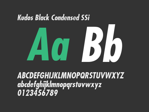 Kudos Black Condensed SSi