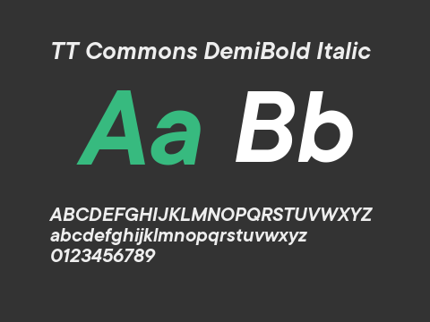 TT Commons DemiBold Italic