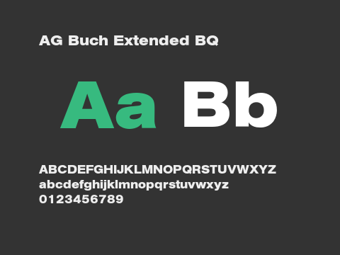 AG Buch Extended BQ