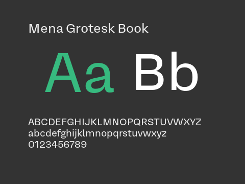 Mena Grotesk Book