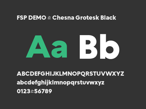 FSP DEMO - Chesna Grotesk Black