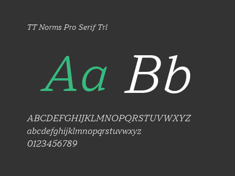 TT Norms Pro Serif Trl