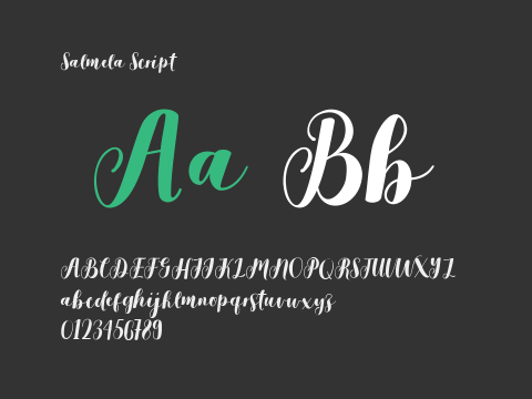 Salmela Script