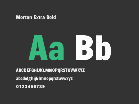 Morton Extra Bold