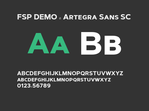 FSP DEMO - Artegra Sans SC