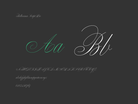 Bellissima Script Pro