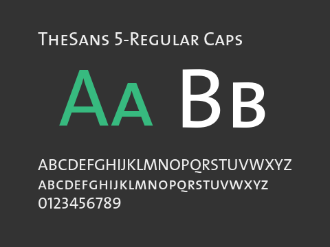 TheSans 5-Regular Caps