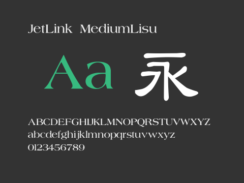 JetLink MediumLisu