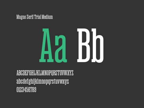 Magno Serif Trial Medium