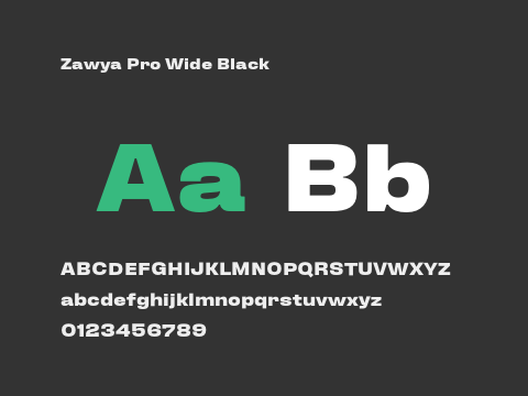 Zawya Pro Wide Black