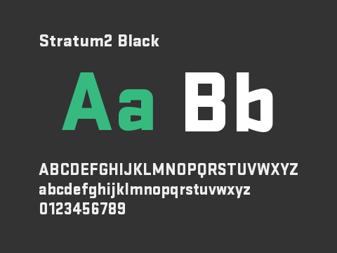 Stratum2 Black