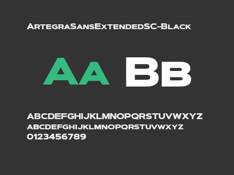 ArtegraSansExtendedSC-Black