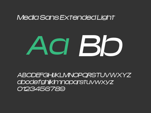 Media Sans Extended Light