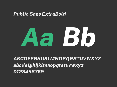 Public Sans ExtraBold