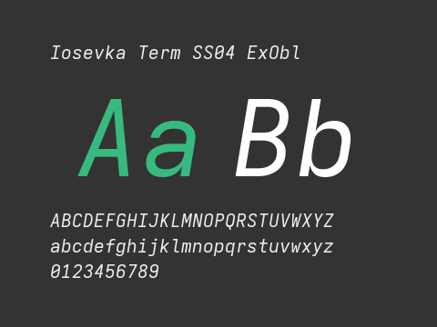 Iosevka Term SS04 ExObl