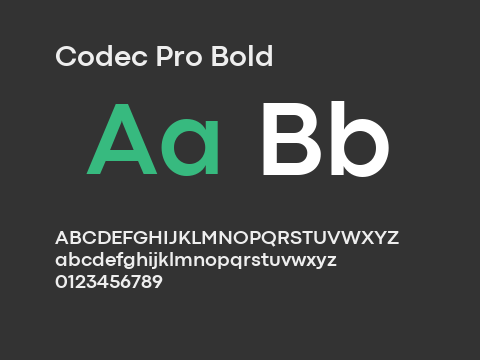 Codec Pro Bold