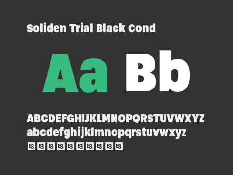 Soliden Trial Black Cond